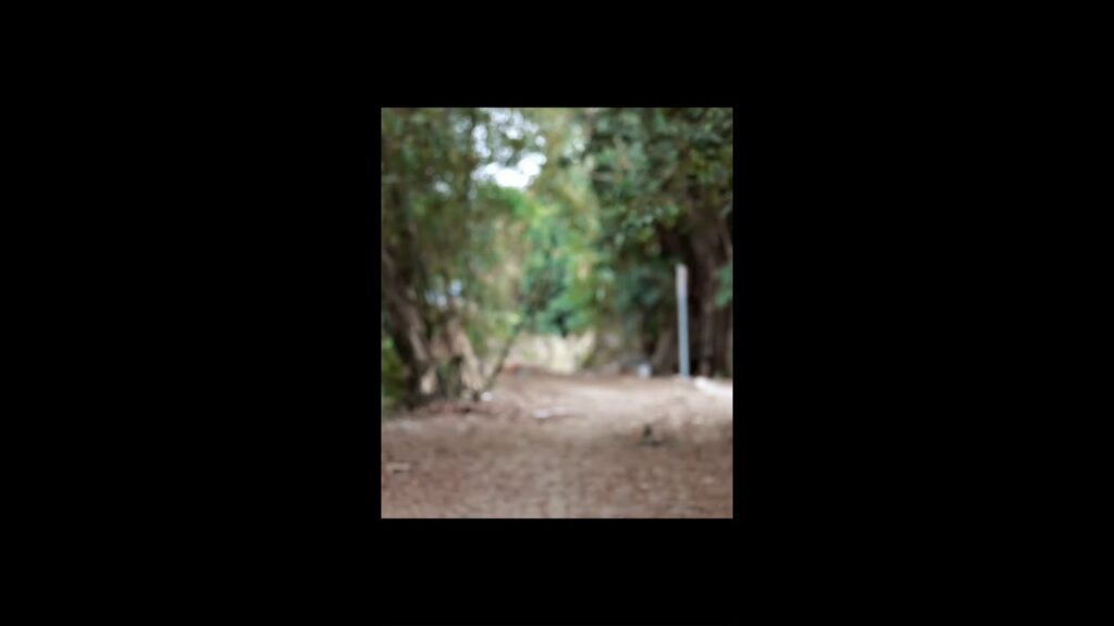 🌷💞 إنها في غايةِ الجمال #pursuitofjade #cdrama #iqiyioriginal #mustwatch #逐玉