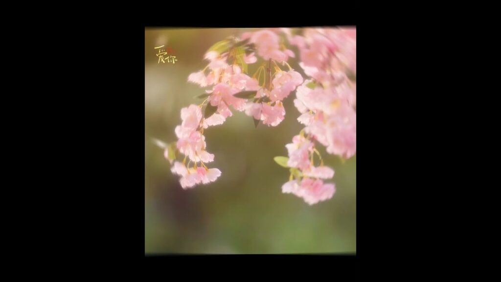 🌟📺 لحظاتٌ لا تُنسى من أحداث المسلسل، هل تذكرها؟#TheBestThing #ZhangLinghe #XuRuohan #爱你