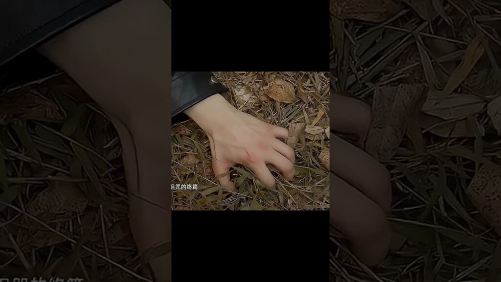 💕💕 #Affinity #炽热吸引 #JinFang #Yuxin Cui #YOUKU #الانجذاب #shorts #cdrama #优酷 #romance