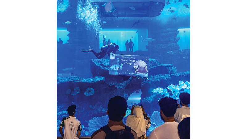 «رسالة من تحت الماء» في دبي
