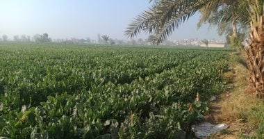 تحذير عاجل من مركز المناخ.. انتهاء الربيع الهادئ وبدء أخطر مراحل الموسم مناخيا