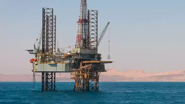 مدحت يوسف يوضح حقيقة تصريحه حول “موت حقل ظهر”: غير صحيح مدحت يوسف يوضح حقيقة تصريحه حول "موت حقل ظهر": غير صحيح