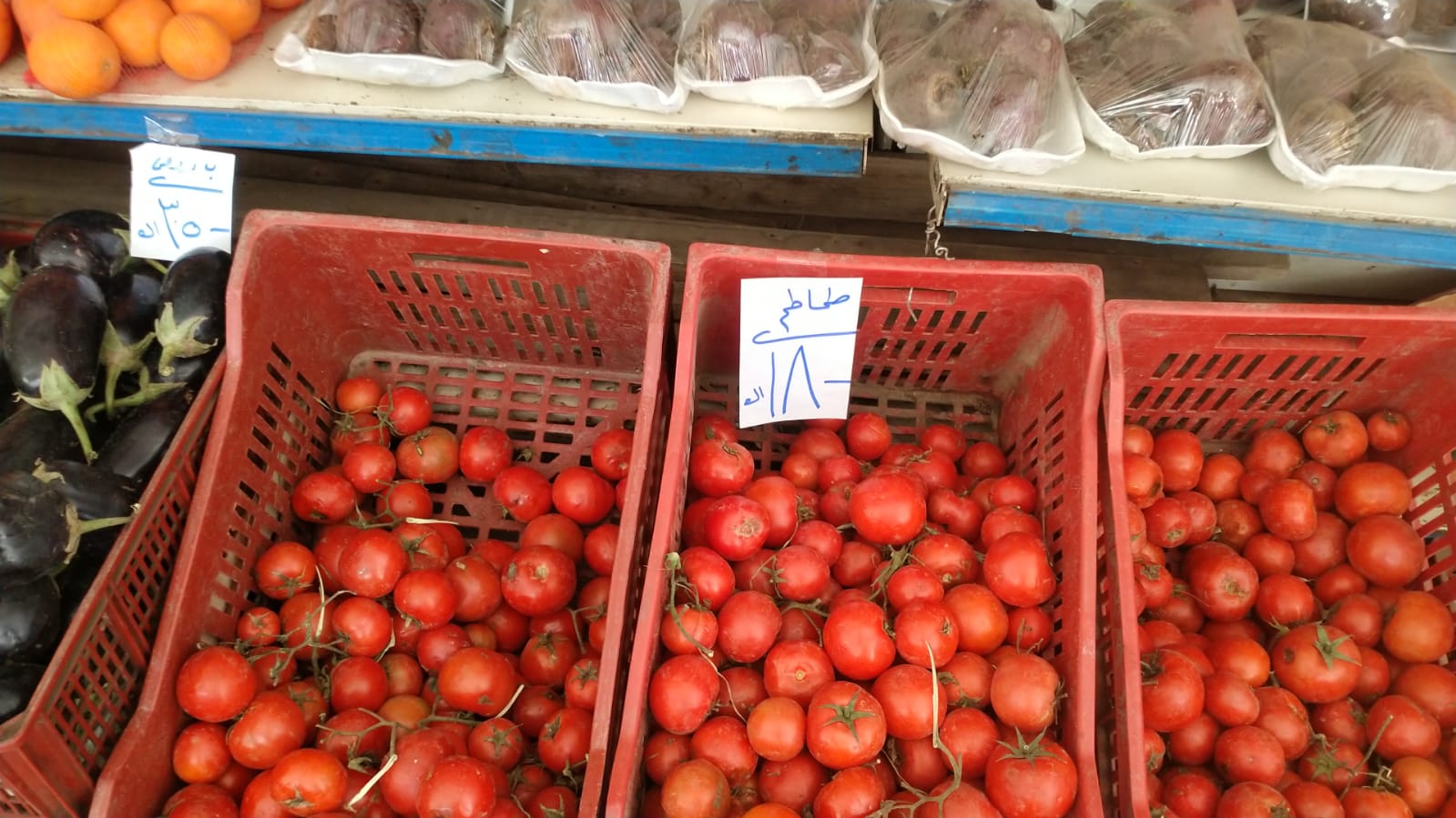 PHOTO-2026-04-04-10-58-12 PHOTO-2026-04-04-10-58-12