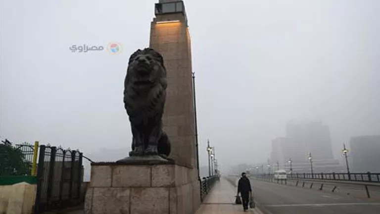 شبورة كثيفة وأمطار.. تحذير مهم من الأرصاد للمسافرين على الطرق السريعة