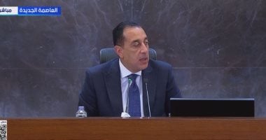 مدبولى: العالم استقبل وقف إطلاق النار بارتياح ومصر تواصل جهودها لإرساء السلام