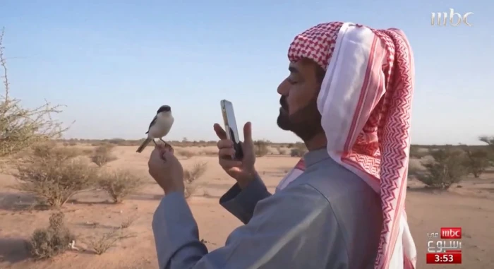 صحيفة المرصد - أسماه "زورو" وينادي عليه فيأتيه على الفور.. بالفيديو: صداقة عجيبة بين مواطن وطائر في منطقة الحوية بالطائف