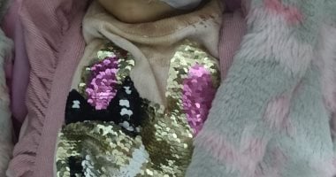 طفلة تتعرض لهجوم من أسد أثناء التقاط صور فى السيرك القومى.. صور طفلة تتعرض لهجوم من أسد أثناء التقاط صور فى السيرك القومى.. صور