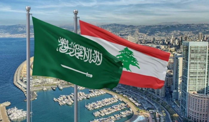 صحيفة المرصد - المملكة تؤكد دعمها للبنان والجيش اللبناني وتطبيق القرارات الدولية