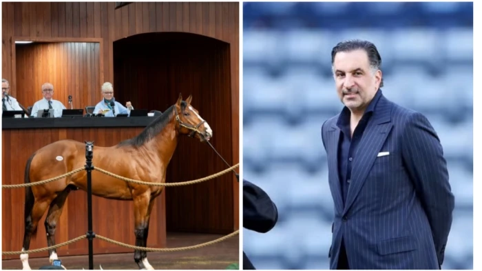 صحيفة المرصد - مقابل مبلغ قياسي.. رجل أعمال سعودي يشتري " مهر" في مزاد خيول بأمريكا بأكثر من 10 ملايين دولار