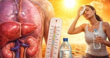 لماذا يعد فصل الصيف خطراً على الكبد والكلى؟.. اعرف طرق الوقاية