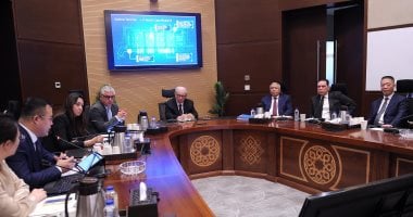 الشركات الصينية تقدم عرضًا لمصر لإقامة محطة حاويات باستثمارات 400 مليون دولار