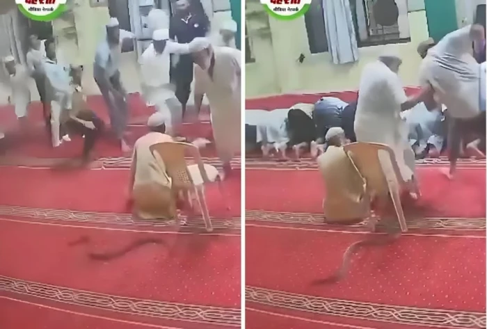 صحيفة المرصد - بالفيديو.. أفعى ضخمة تتسلل بين أقدام المصلين داخل مسجد وتثير فزعهم أثناء الصلاة