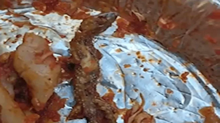 فيديو للعثور على برص في طاجن مكرونة بالموزاريلا يثير الجدل.