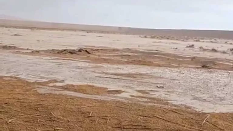 سيول تضرب بعض أودية مدن العريش ورفح والشيخ زويد