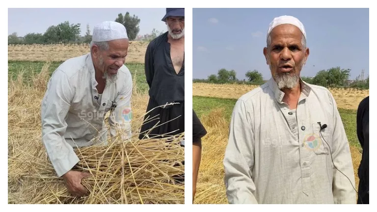 "حصدوا الأرض وهربوا".. الأمن يكشف لغز "اختفاء القمح" من أرض الحاج عط