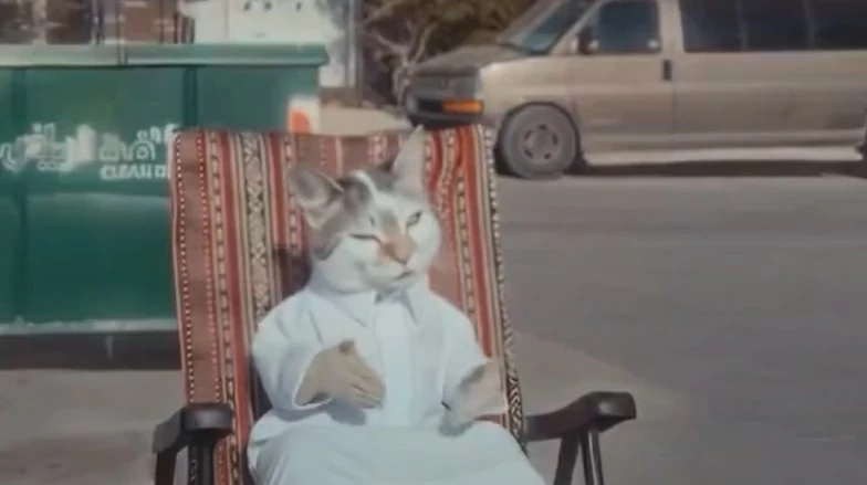 «تنظيم الإعلام»: استدعاء منتجي بودكاست «قطو الشوارع» وإيقاف ترخيص الشركة المنتجة - أخبار السعودية