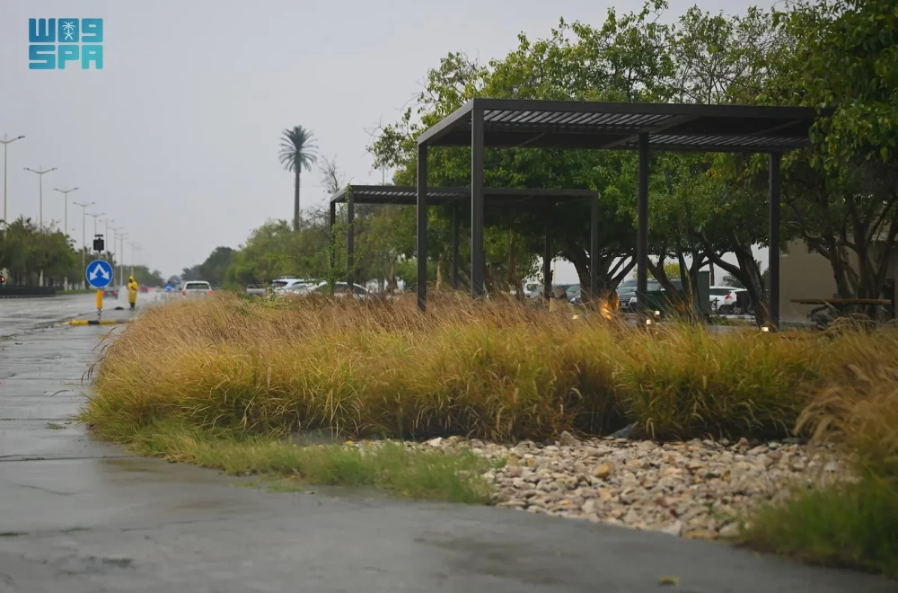 «طقس الأربعاء»: غمام ورياح في مكة.. الباحة تمطر حتى الجمعة ورعود في حائل - أخبار السعودية