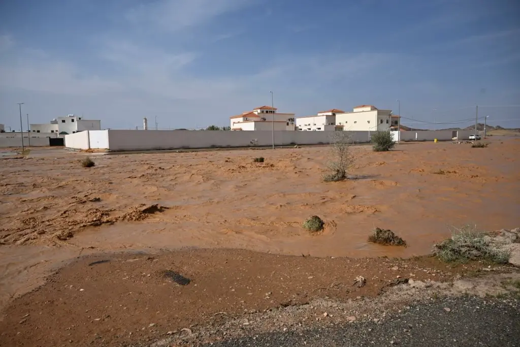 إنقاذ جوي وإيواء عاجل مع تمكين سكان "العِشّ" المتضررين من اختيار السكن في شقق مفروشة على نفقة الدولة - أخبار السعودية