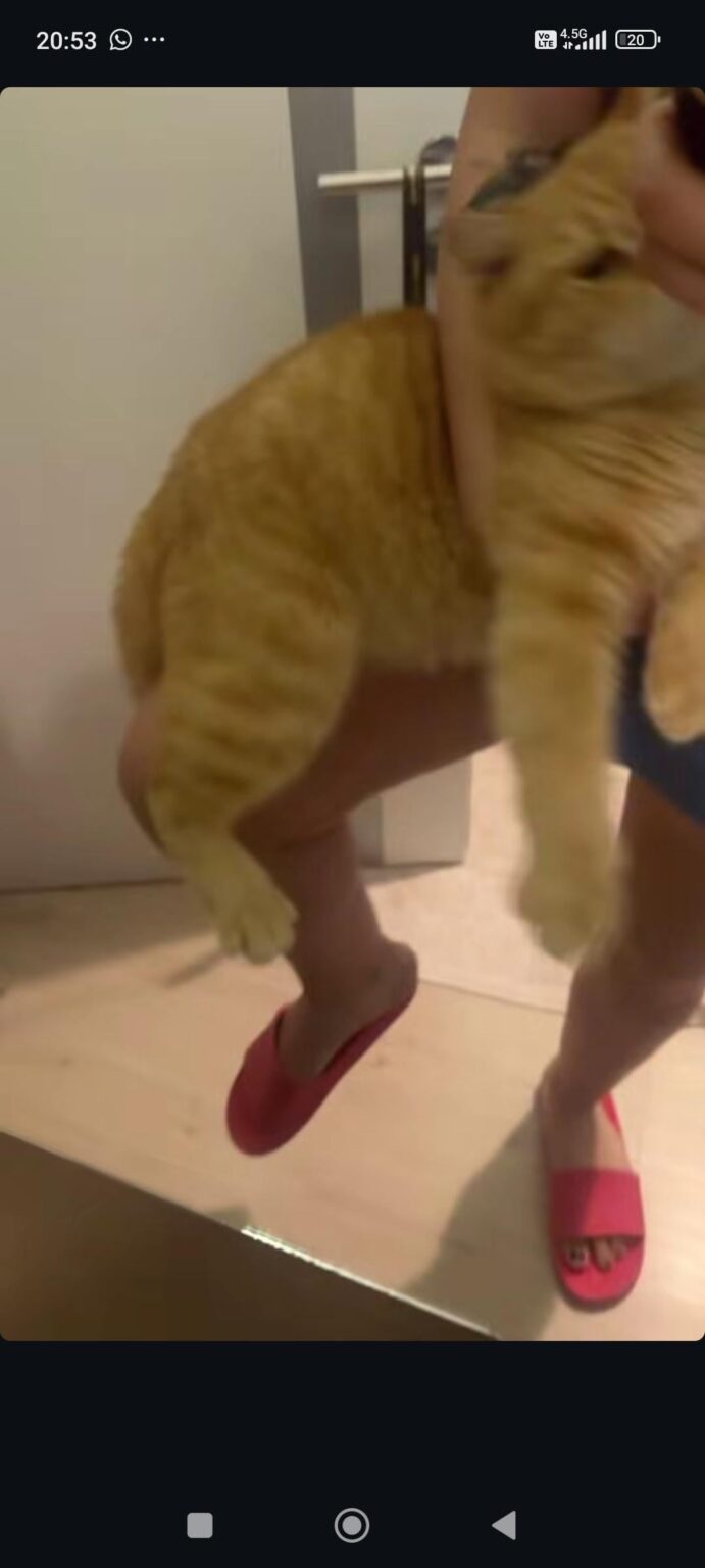 Cucuppe burcu terzioğlu