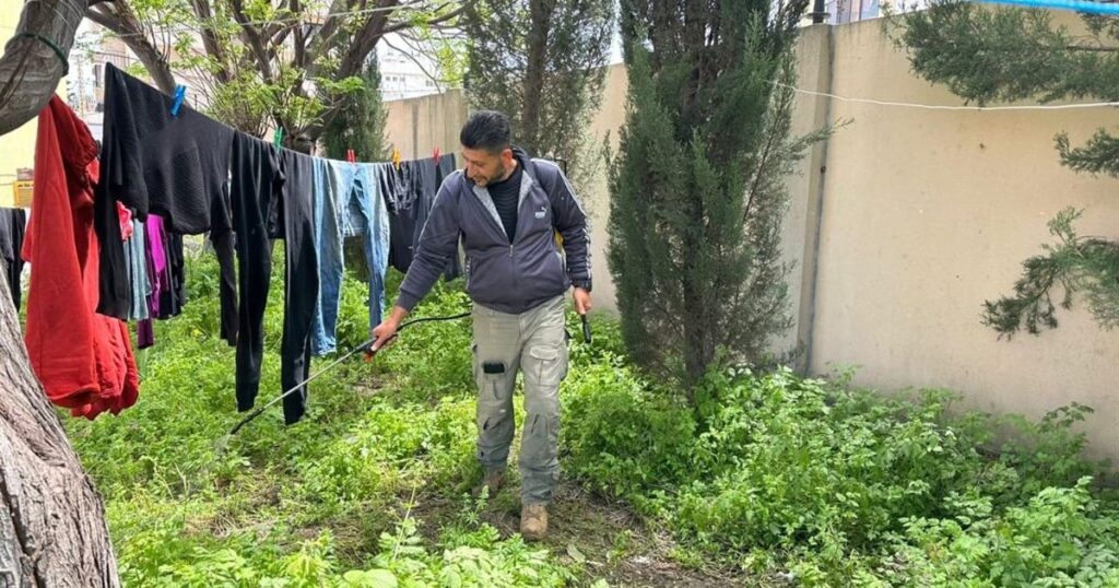 من حقول التبغ إلى أروقة 'كلية الصحة' في صيدا: حكاية 'أبو علي' الذي زرع الأمل في قلب النزوح