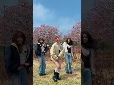 LE SSERAFIM EUNCHAE مع IOI CHUNGHA & YOOJUNG - احتفال (تحدي الرقص) (260425)