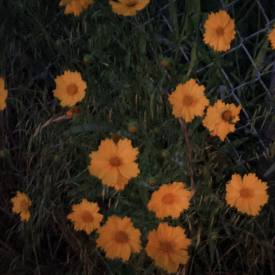 PURPLE KISS Ireh افتتحت قناة شخصية على اليوتيوب PURPLE KISS Ireh افتتحت قناة شخصية على اليوتيوب