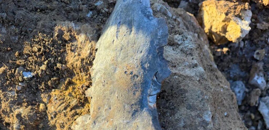 من كان اول الواصلين الى موقع الاستهداف في مار روكز؟