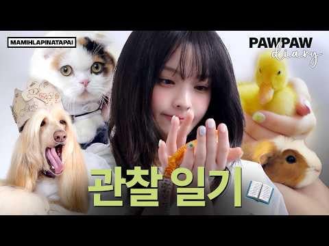 ILLIT - مجلة مراقبة IROHA (رسم صور مفهوم MAMIHLAPINATAPAI) @ PAW PAW diary (260403) [ENG SUB]
