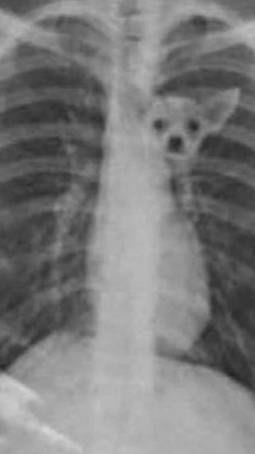 260416 تحديث قصة جيزيل على الانستقرام