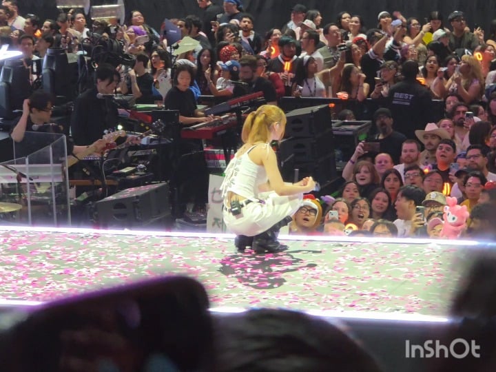 ليلتان، وصورتان شخصيتان لمومو، ومعجبان محظوظان.