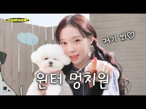 260423 الشتاء - الحلقة: يبدو أن الجراء تحب رائحة الجراء أيضا.