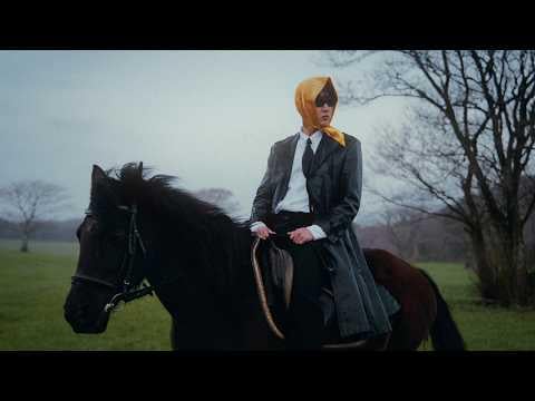 النجم الحاسم – الفجل النجم الحاسم - الفجل