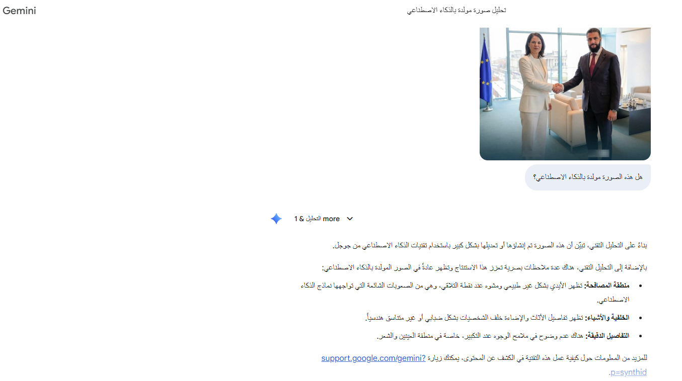 تحليل Gemini للصورة