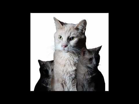 الوجه في اسرع وقت ممكن