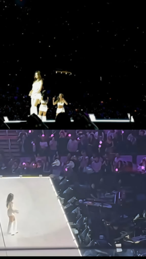 هل لوحت سانا لي فعلاً؟ (بوسطن اليوم 2)