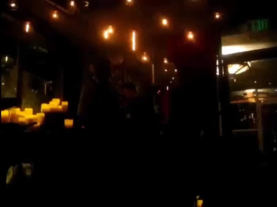 Anneliese van der Pol