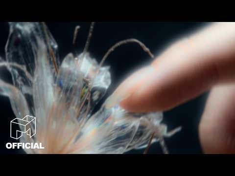 TripleS - LOVE&POP (فيديو تشويقي)