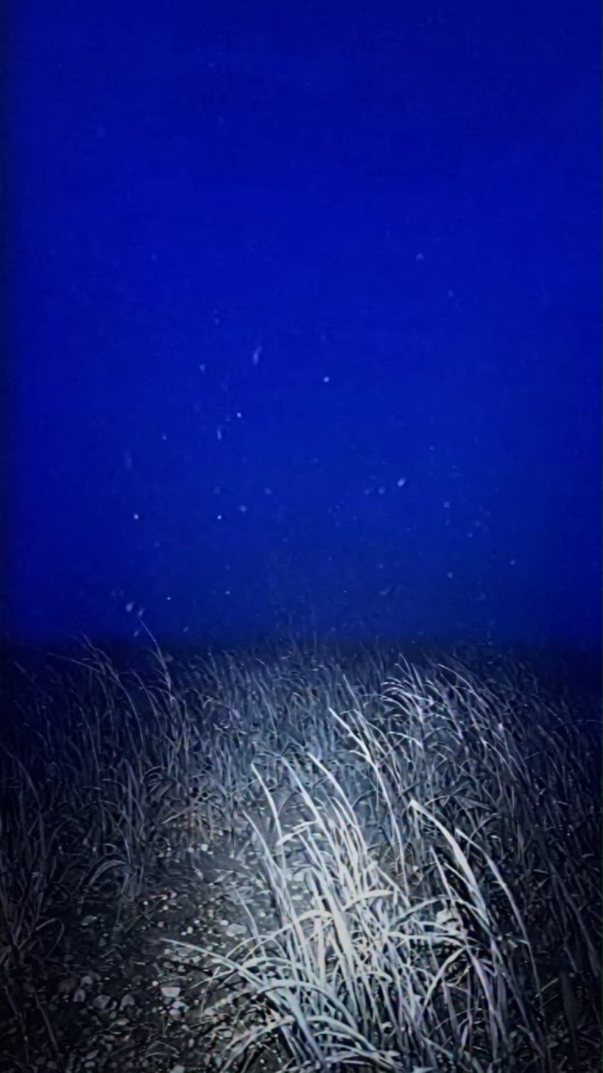 260428 تحديث aespa Instagram Reels - هناك شيء ما هنا