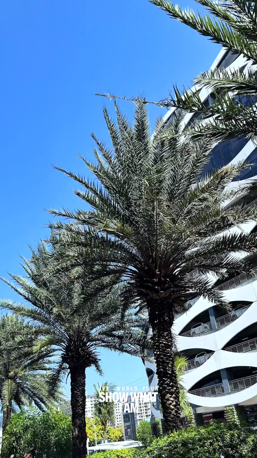 تحديث تويتر الرسمي لـ 260428 IVE - 𝑆𝐻𝑂𝑊 𝑊𝐻𝐴𝑇 𝐼 𝐴𝑀 في مانيلا ✈️