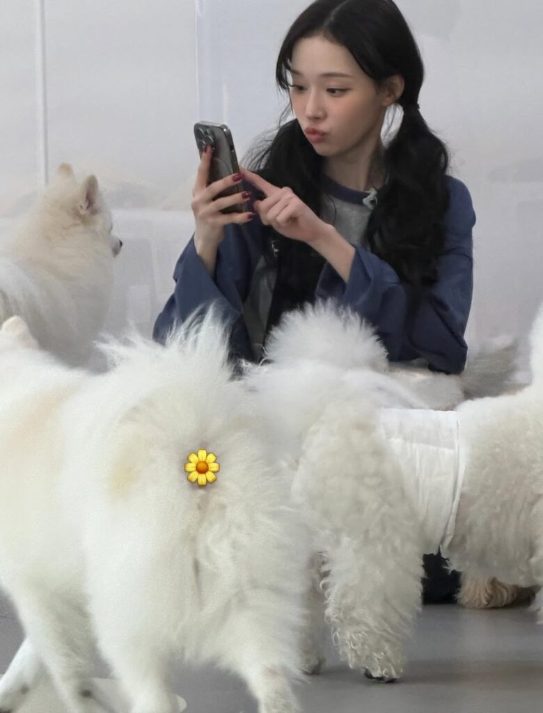 260424 تحديث الانستقرام الشتوي