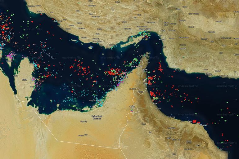صورة لحركة السفن بمضيق هرمز - المصدر: مارين ترافيك