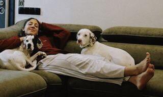 Voleybolcu konusucak yazsin