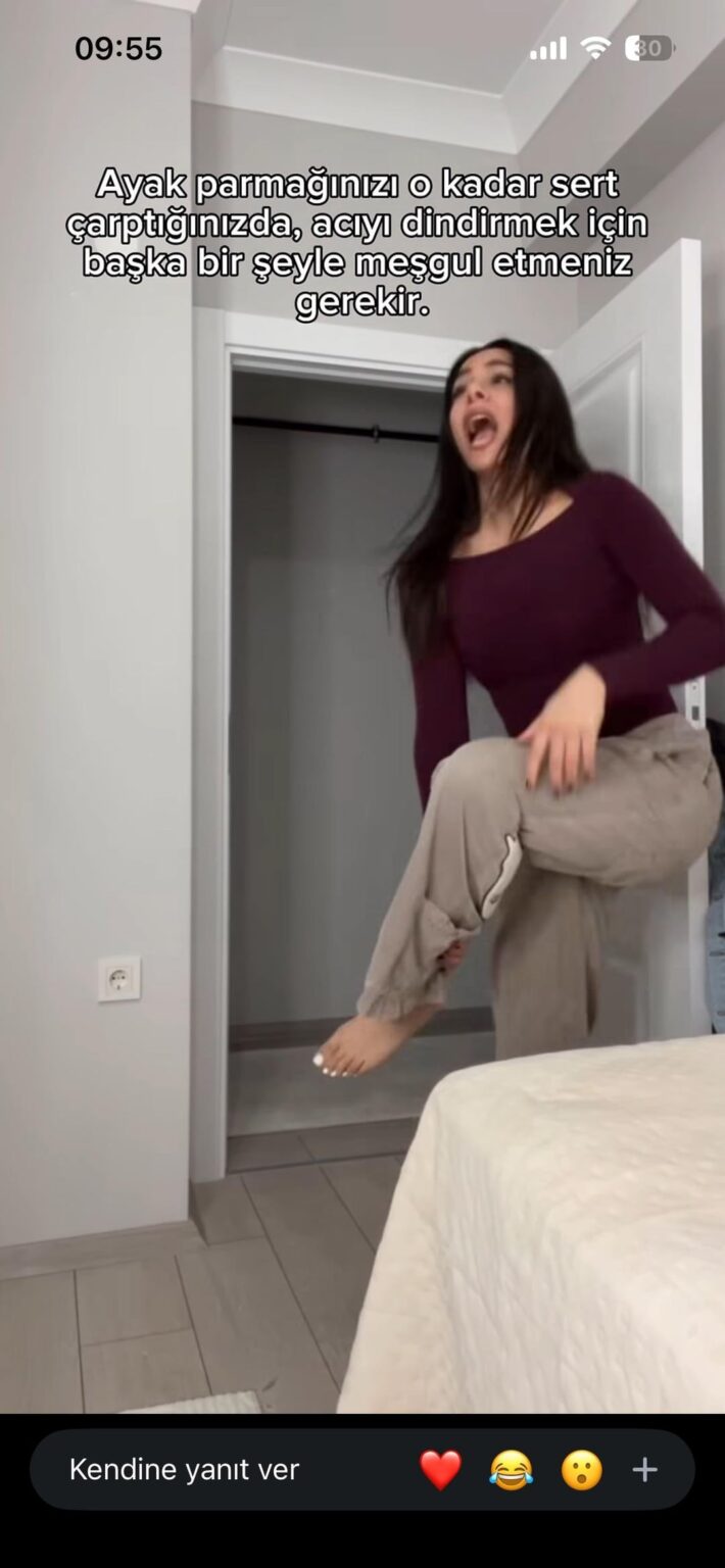 Bernshowy (Berna kanberoğlu)