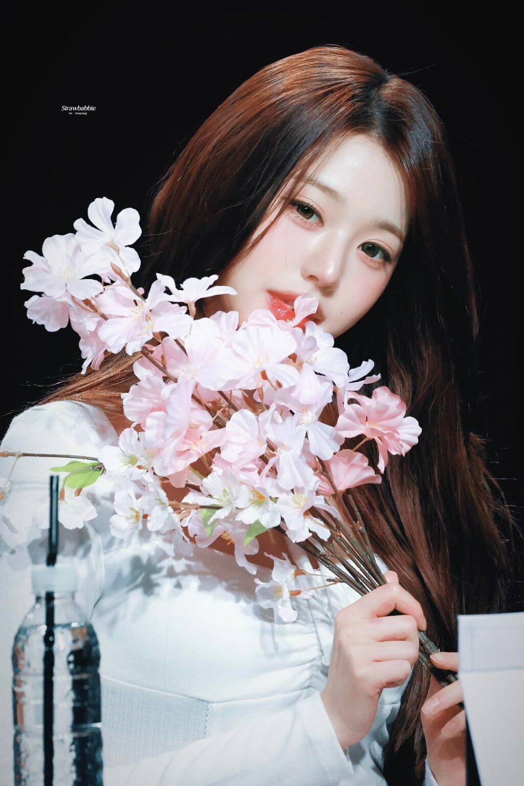 260315 تحديث موقع المعجبين Wonyoung