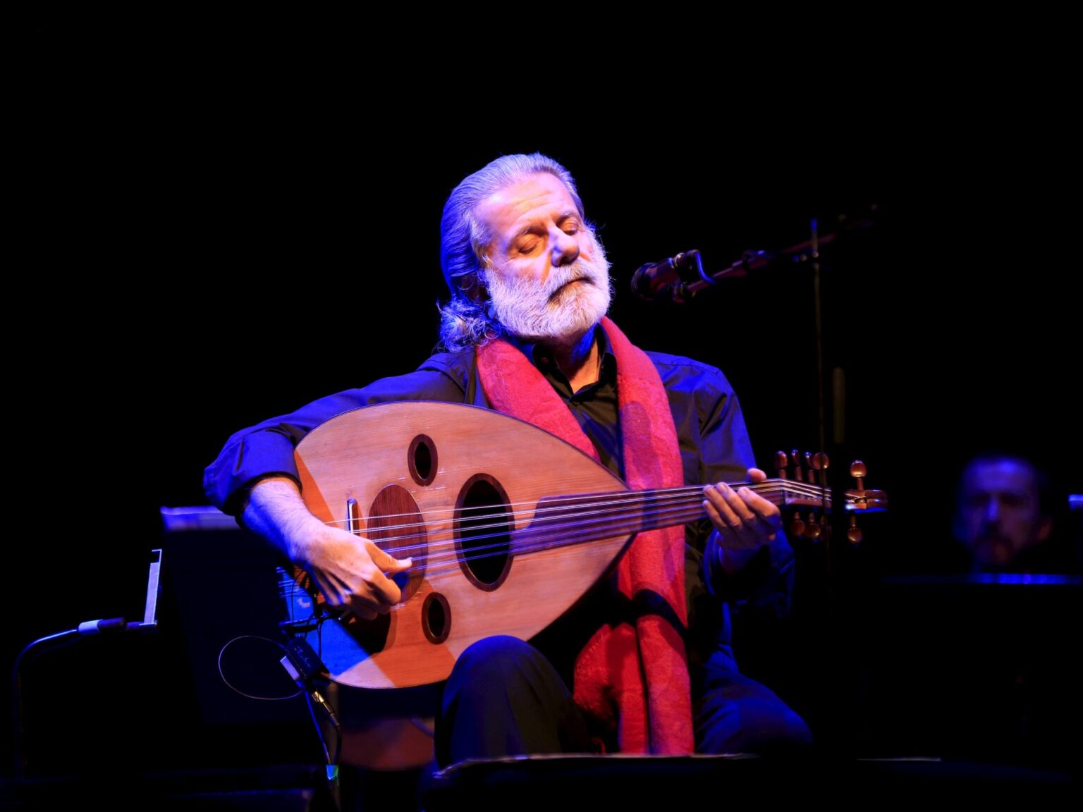 غياب الأغنية الوطنية في زمن الأزمات.. صمت فني أم تحوّل في الوعي؟ | فن