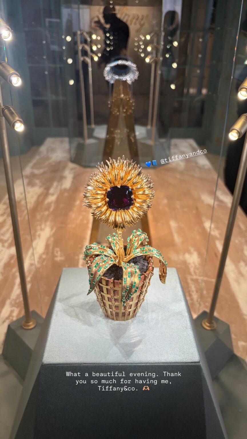 260417 تحديث قصة روزي على الانستغرام