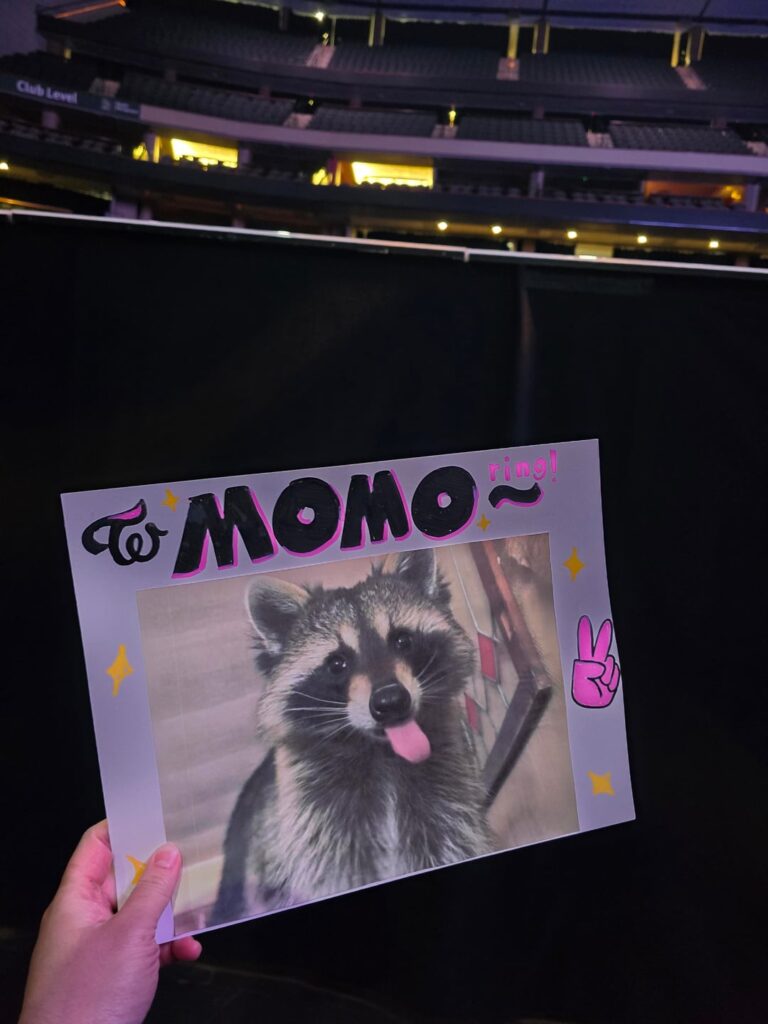 مومو في دنفر