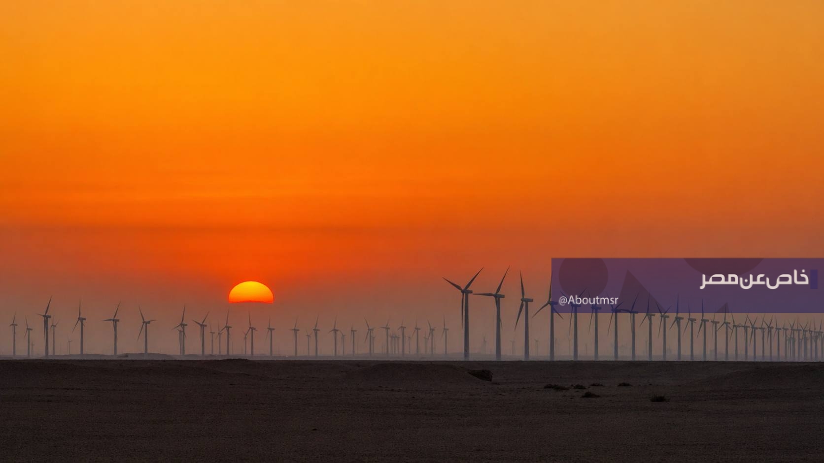 مرزعة رياح شدوان