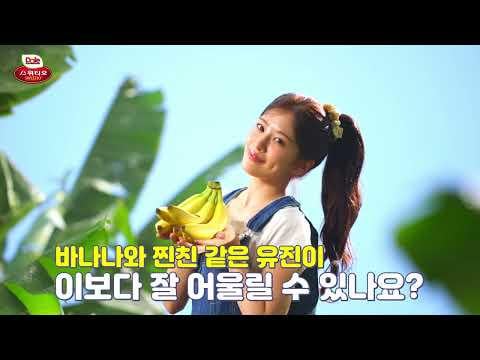 260408 يوجين - تم الكشف عن لقاء خاص بين دول سويتيو بانانا ويوجين