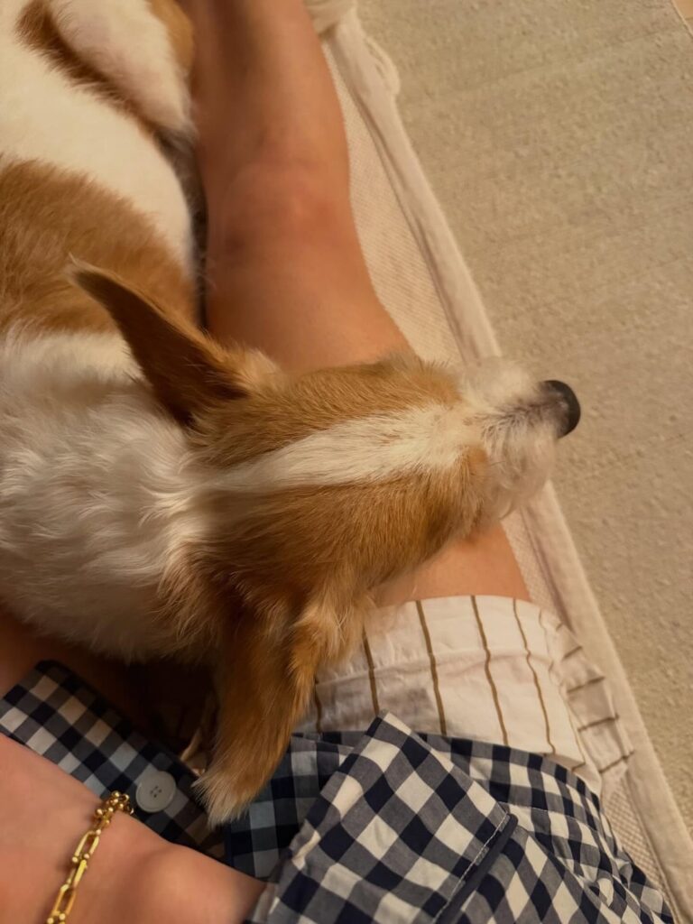 260406 تحديث أليس على IG مع هانك